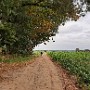 20241020_130039.jpg