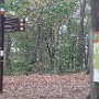 20241020_163335.jpg