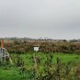 20241021_112206.jpg