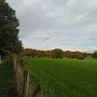 IMG_20241020_152605.jpg