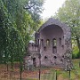 IMG_20241021_115219.jpg