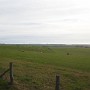 P1030366.jpg