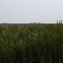 P1020070a_crop