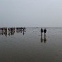 P1020074.JPG