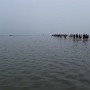 P1020078.JPG