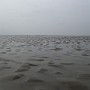 P1020091.JPG