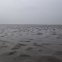 P1020091