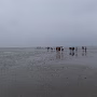 P1020092