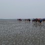 P1020095.JPG