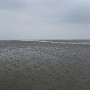 P1020096.JPG