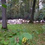 P1010479.JPG