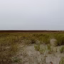 P1020941