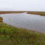P1020946