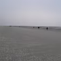 P1020951