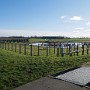 P1000201.JPG