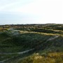 P1010268.JPG