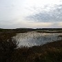 P1010276.JPG