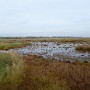P1010277.JPG