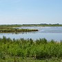 P1020640.JPG