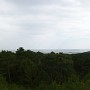 P1010770.JPG