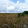 P1010778.JPG