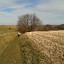 2015-03-07_12.38.45.jpg