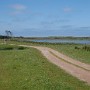 P1000275.JPG