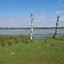 P1000277.JPG