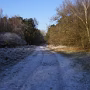 DSCF2710