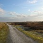 DSCN1685.JPG