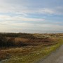 DSCN1687.JPG