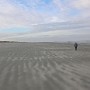 DSCN1695.JPG