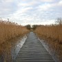 DSCN1698.JPG
