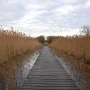 DSCN1698