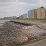 P4201012.JPG