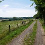 P1000836.JPG