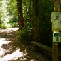 P1000837.JPG