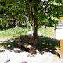 P1000853.JPG
