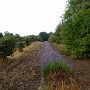 P1020015.JPG