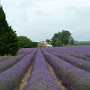 P1020017.JPG