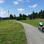 P1000801.JPG