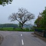 P5151780.JPG