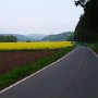 P5151782.JPG