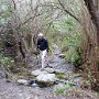 P1020322b.jpg