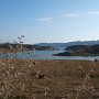 P1272737.JPG