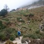 P1282758.JPG