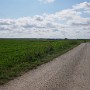 P1000286.JPG
