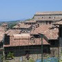 IMG_1357.jpg