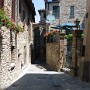 IMG_1359.jpg