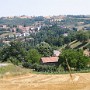 IMG_1361.jpg
